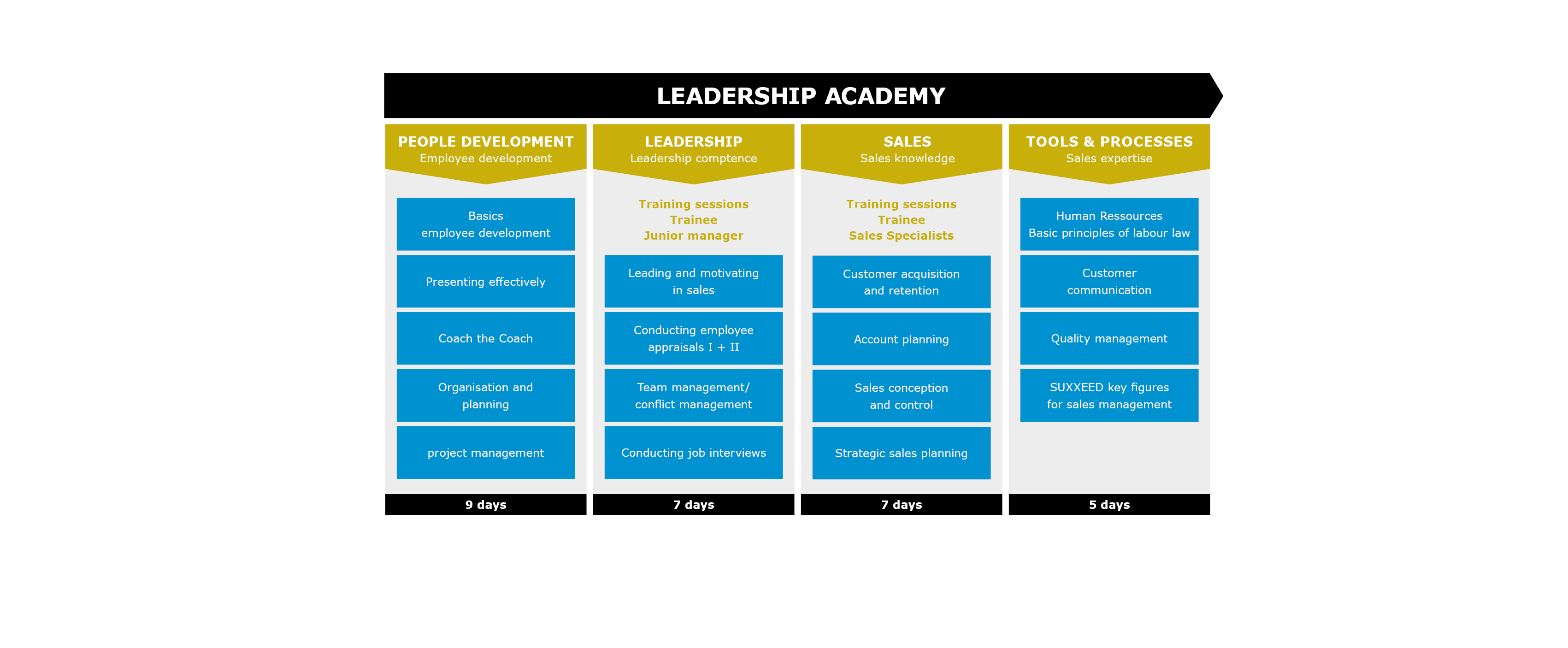 Overview table leadership programme