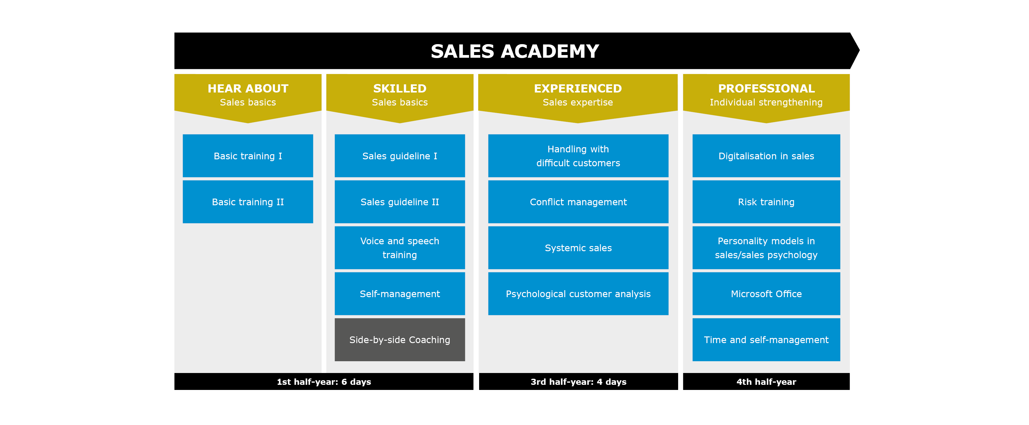 Overview Sales Academy two year programme