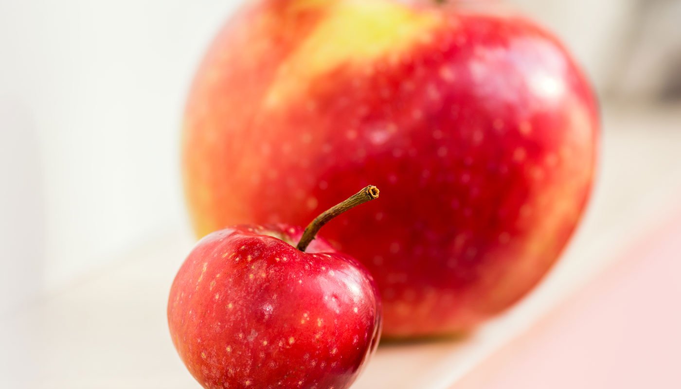 Cross- und Upselling im B2B-Vertrieb